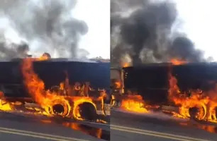 Caminhão carregado de madeira pega fogo na BR-135, no sul do Piauí (Foto: Reprodução)