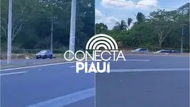 Carro capota na BR-343 e deixa feridos em Teresina; PRF foi acionada (Foto: Reprodução)