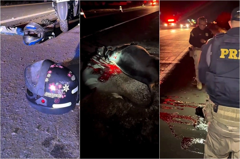 Casal fica ferido após moto colidir com vaca na BR-343, em Piripiri