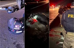 Casal fica ferido após moto colidir com vaca na BR-343, em Piripiri