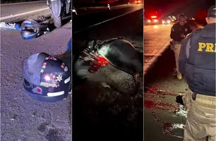 Casal fica ferido após moto colidir com vaca na BR-343, em Piripiri (Foto: Tribuna em Foco)