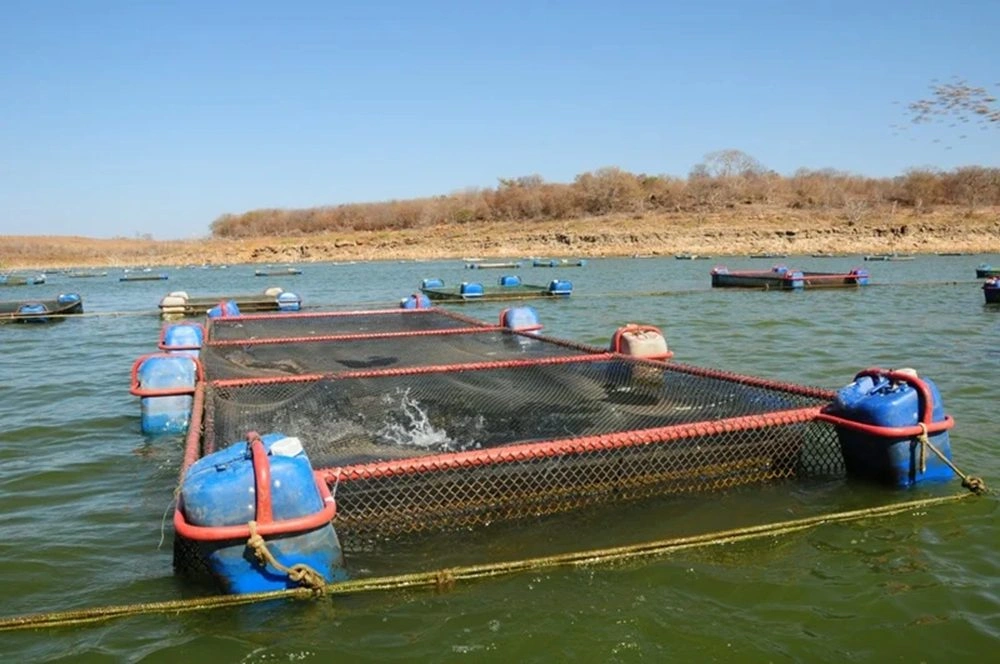 Codevasf abre inscrições para Encontro de Pesca e Aquicultura no Piauí