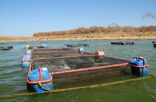 Codevasf abre inscrições para Encontro de Pesca e Aquicultura no Piauí (Foto: Reprodução)