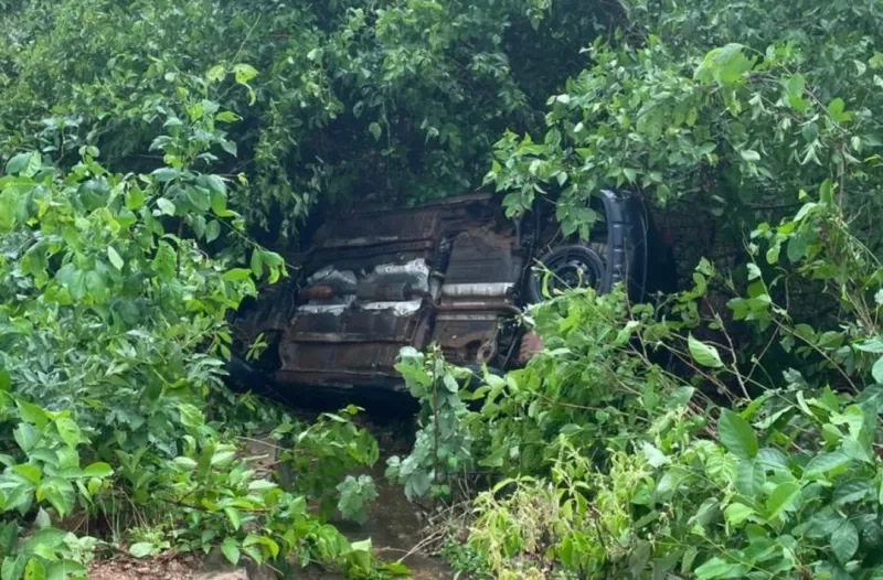Colisão com animais deixa veículo danificado na PI-236 em Oeiras