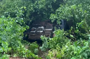 Colisão com animais deixa veículo danificado na PI-236 em Oeiras (Foto: Reprodução)