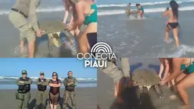Com ajuda de criança, Polícia resgata tartaruga encalhada no litoral do Piauí (Foto: Reprodução)