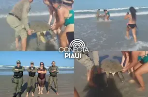 Com ajuda de criança, Polícia resgata tartaruga encalhada no litoral do Piauí (Foto: Reprodução)