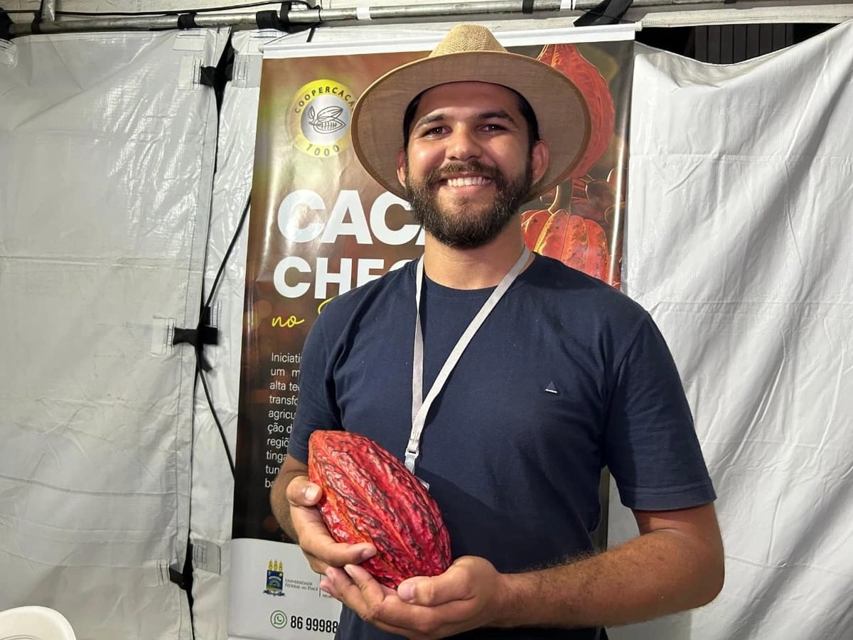 Cooperativa apresenta cultivo inovador de cacau adaptado ao semiárido do Piauí