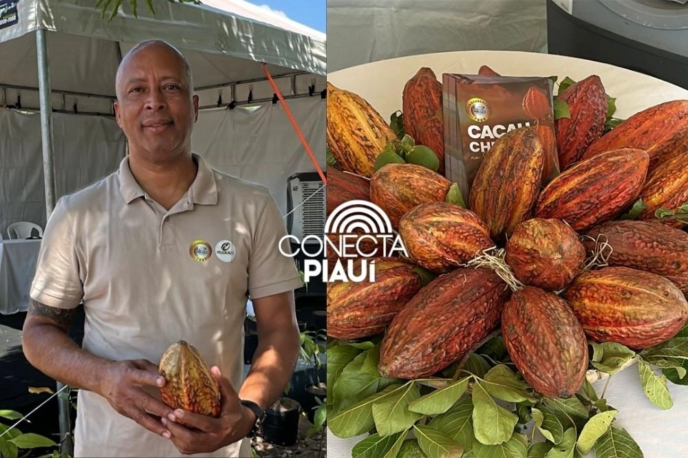 Coopercacau 1000 apresenta cultivo de cacau a pleno sol na 74ª Expoapi
