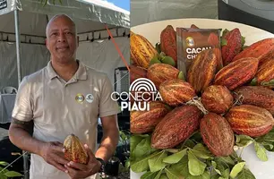 Coopercacau 1000 apresenta cultivo de cacau a pleno sol na 74ª Expoapi (Foto: Conecta Piauí)