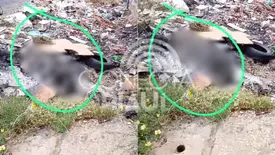 Corpo carbonizado é encontrado em volta de lixo na zona Leste de Teresina (Foto: Reprodução)