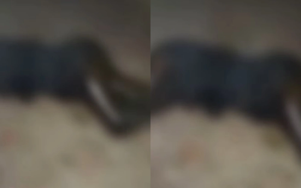 Corpo de mulher é encontrado em estado avançado de decomposição em Teresina