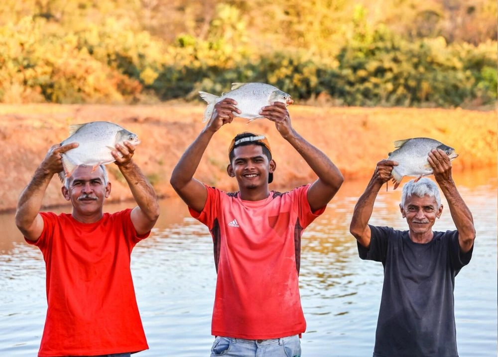 Criadores de peixe na localidade Carnaubal, no município de Oeiras, recebem o apoio da SAF