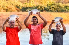 SAF distribuiu mais de 2,5 milhões de alevinos e reforça psicultura no Piauí