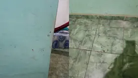 Criminosos invadem casa e disparam contra jovem durante a madrugada no Piauí (Foto: Divulgação/PMPI)