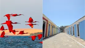 Cultura, natureza e história complementam roteiro turístico no litoral do Piauí (Foto: Reprodução)