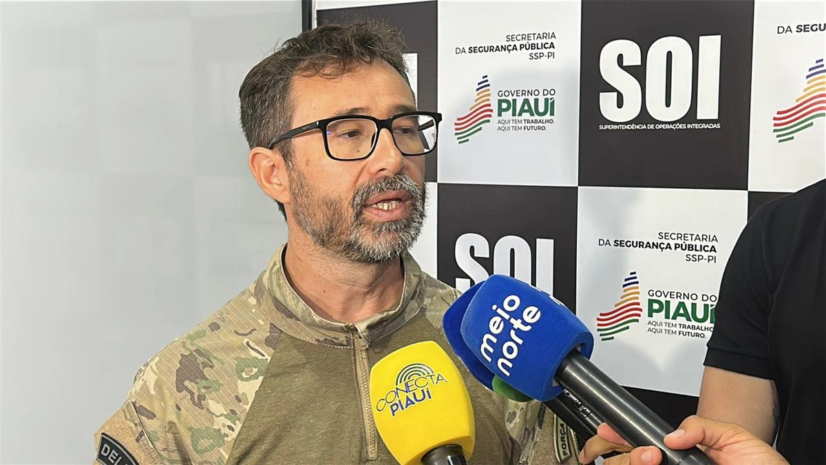 Delegado Roni da Rocha