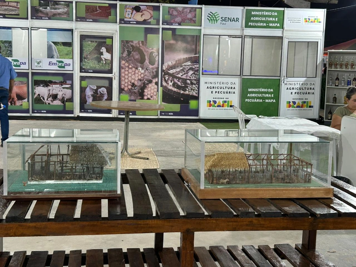 Embrapa Meio Norte celebra 50 anos e reforça presença na Expoapi