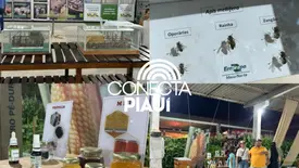 Embrapa Meio Norte celebra 50 anos e reforça presença na Expoapi (Foto: Portal Conecta Píaui)