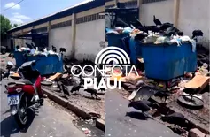 Empresário denuncia acúmulo de lixo e presença de urubus em mercado de Teresina