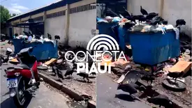 Empresário denuncia acúmulo de lixo e presença de urubus no mercado de Teresina (Foto: Reprodução)