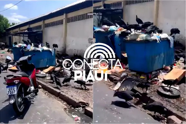 Empresário denuncia acúmulo de lixo e presença de urubus no mercado de Teresina