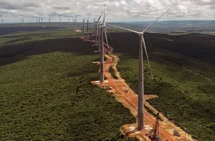 Energia eólica (Foto: Reprodução)