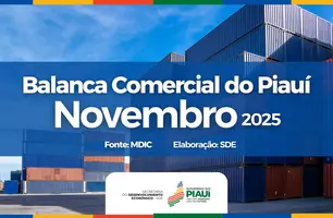 Exportações do Piauí crescem 116,9% e alcançam US$ 81,8 milhões em novembro (Foto: Conecta Piauí)