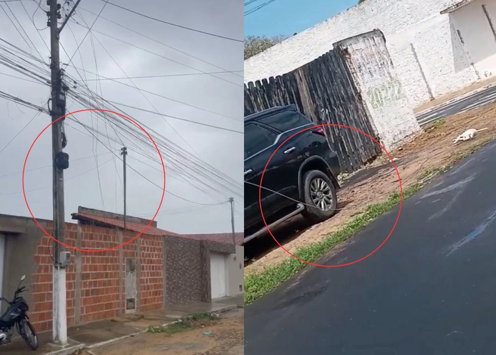 Fios de energia caídos em Parnaíba matam cachorro 'caramelo' e preocupam população