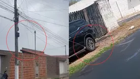 Fios de energia caídos em Parnaíba matam cachorro 'caramelo' e preocupam população (Foto: Reprodução)