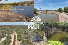 Fiscalização na Lagoa do Portinho expõe pressão sobre joias ambientais do Piauí