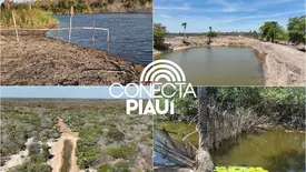 Fiscalização na Lagoa do Portinho expõe pressão sobre joias ambientais do Piauí (Foto: Reprodução)