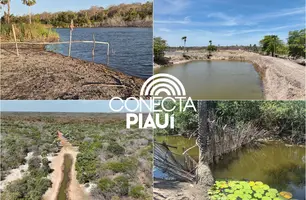 Fiscalização na Lagoa do Portinho expõe pressão sobre joias ambientais do Piauí (Foto: Reprodução)