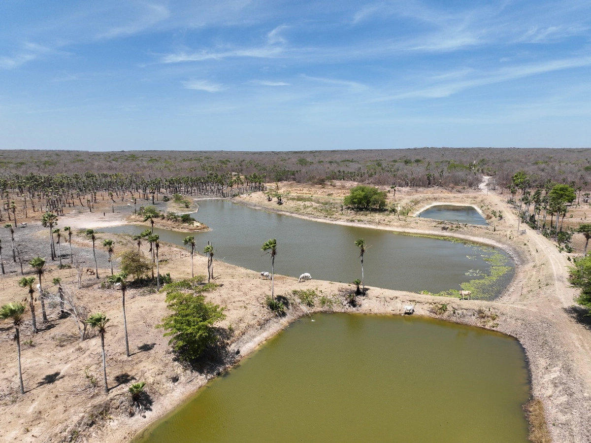 Fiscalização na Lagoa do Portinho