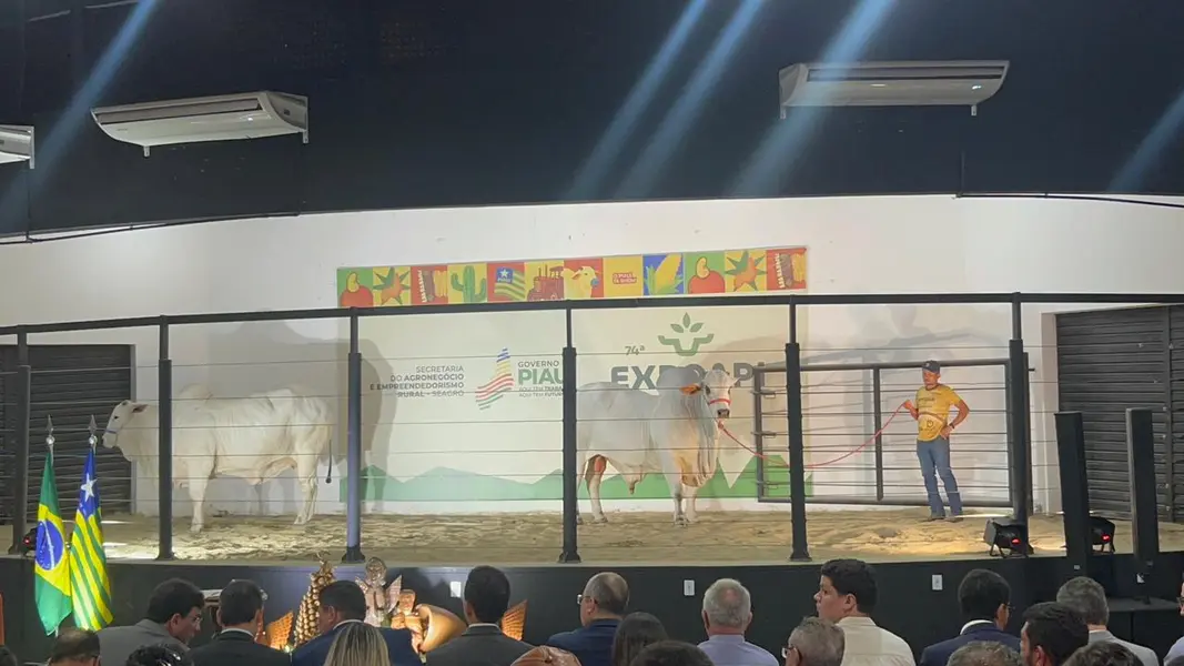 Governador homenageia personalidades do agronegócio no segundo dia de Expoapi