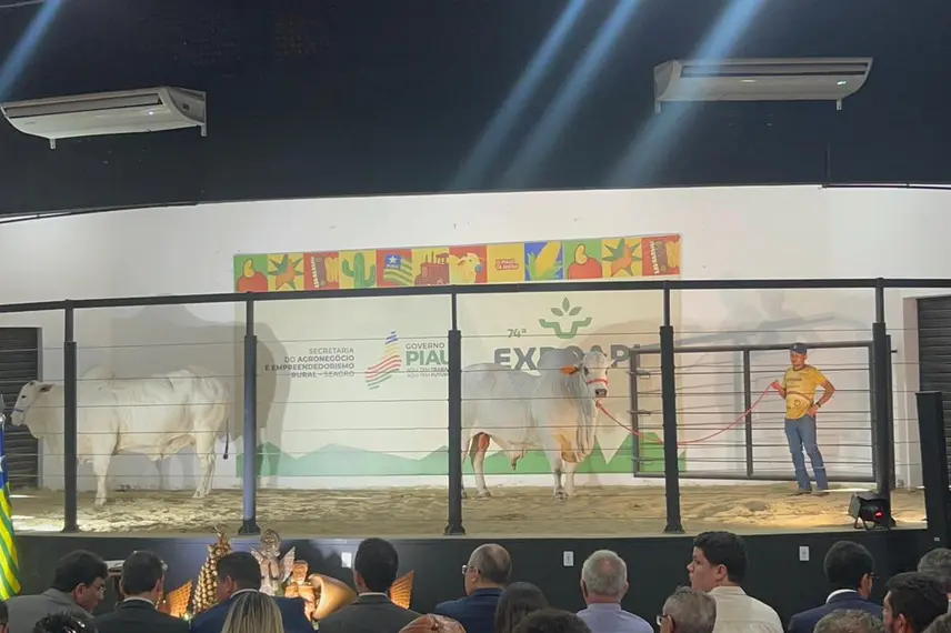 Governador homenageia personalidades do agronegócio no segundo dia de Expoapi