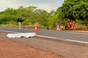Homem morre atropelado por caminhonete na BR-316, em Ipiranga do Piauí (Foto: Reprodução)