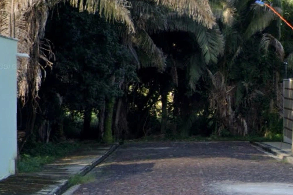 Investigação apura desmatamento e aterro ilegal e riacho em Teresina