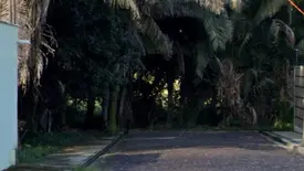 Investigação apura desmatamento e aterro ilegal e riacho em Teresina (Foto: Reprodução)