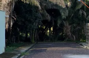 Investigação apura desmatamento e aterro ilegal e riacho em Teresina (Foto: Reprodução)