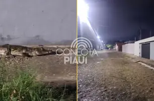 Jacaré aparece próximo ao 'Bar do Rufino' durante chuva em Teresina (Foto: Reprodução)