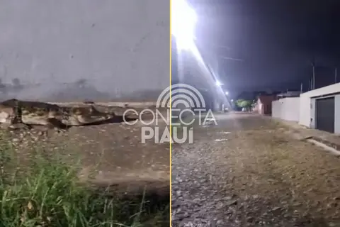 Jacaré aparece próximo ao 'Bar do Rufino' durante chuva em Teresina