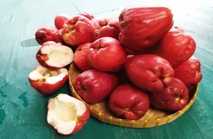 Jambo (Foto: Reprodução)