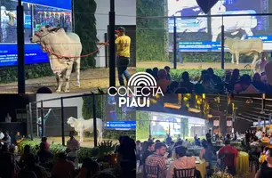 Leilão movimenta 74ª edição da Expoapi e destaca força da genética Nelore no Piauí (Foto: Conecta Piauí)