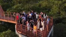 Mirante do Cajueiro Rei é inaugurado e fortalece o turismo em Cajueiro da Praia (Foto: Reprodução)