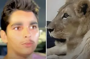 Morto por leoa (Foto: Reprodução)