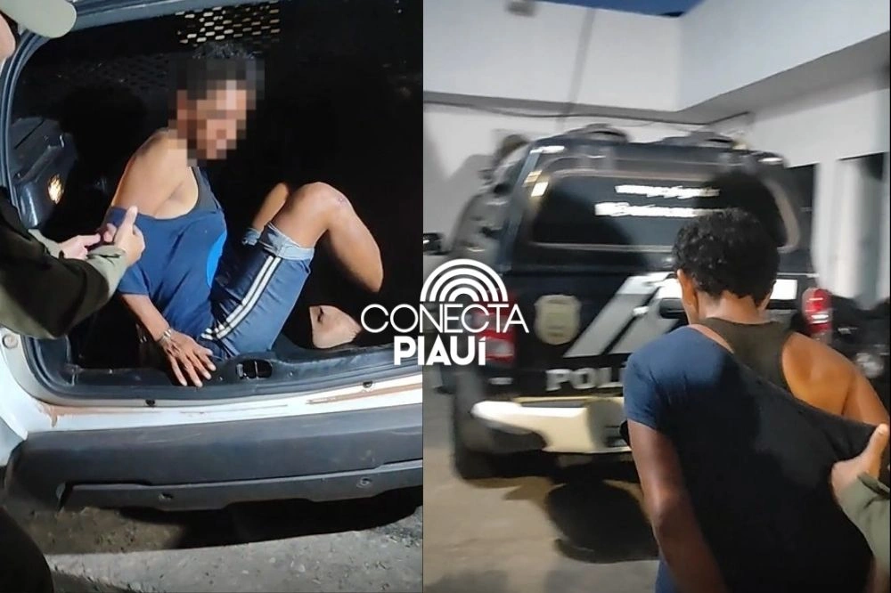 Mulher é detida após furtar comércio e ameaçar idoso na zona Norte de Teresina