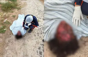 Mulher é encontrada desacordada após agressão a pauladas e pedradas em Parnaíba (Foto: Reprodução)
