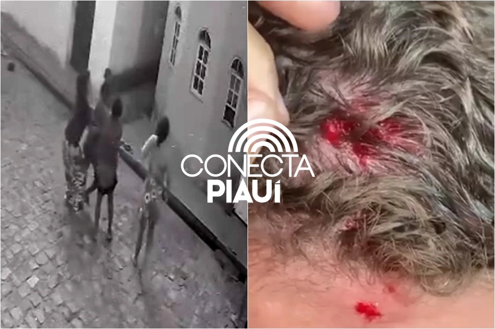 Mulher é presa após ferir vizinha com pedrada e agredir policiais em Bocaina