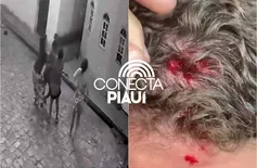 Mulher é presa após ferir vizinha com pedrada e agredir policiais em Bocaina